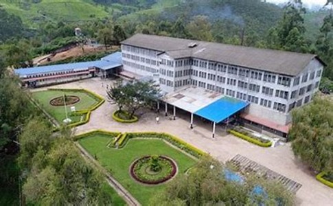 Grace Munnar Resort