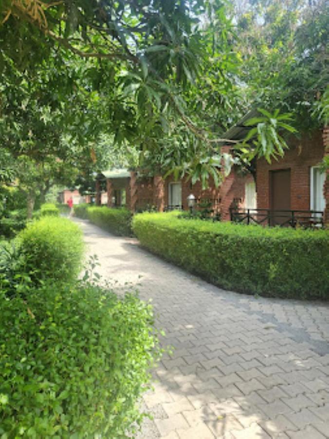 Mango Tree Resorts