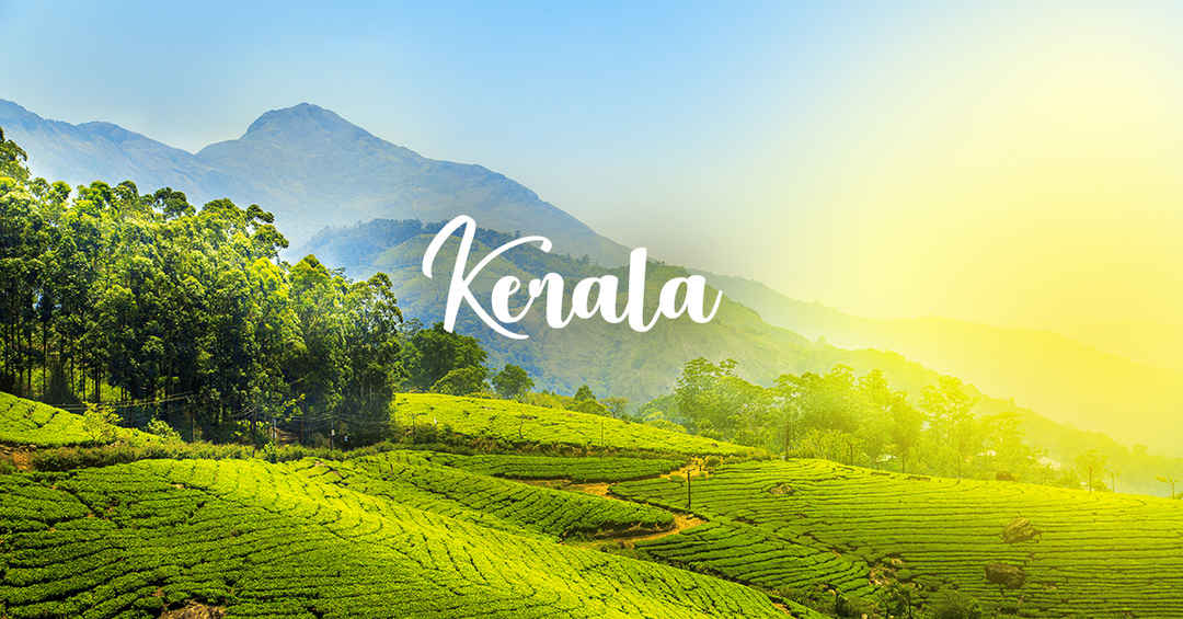 Best Kerala Tour 6N7D
