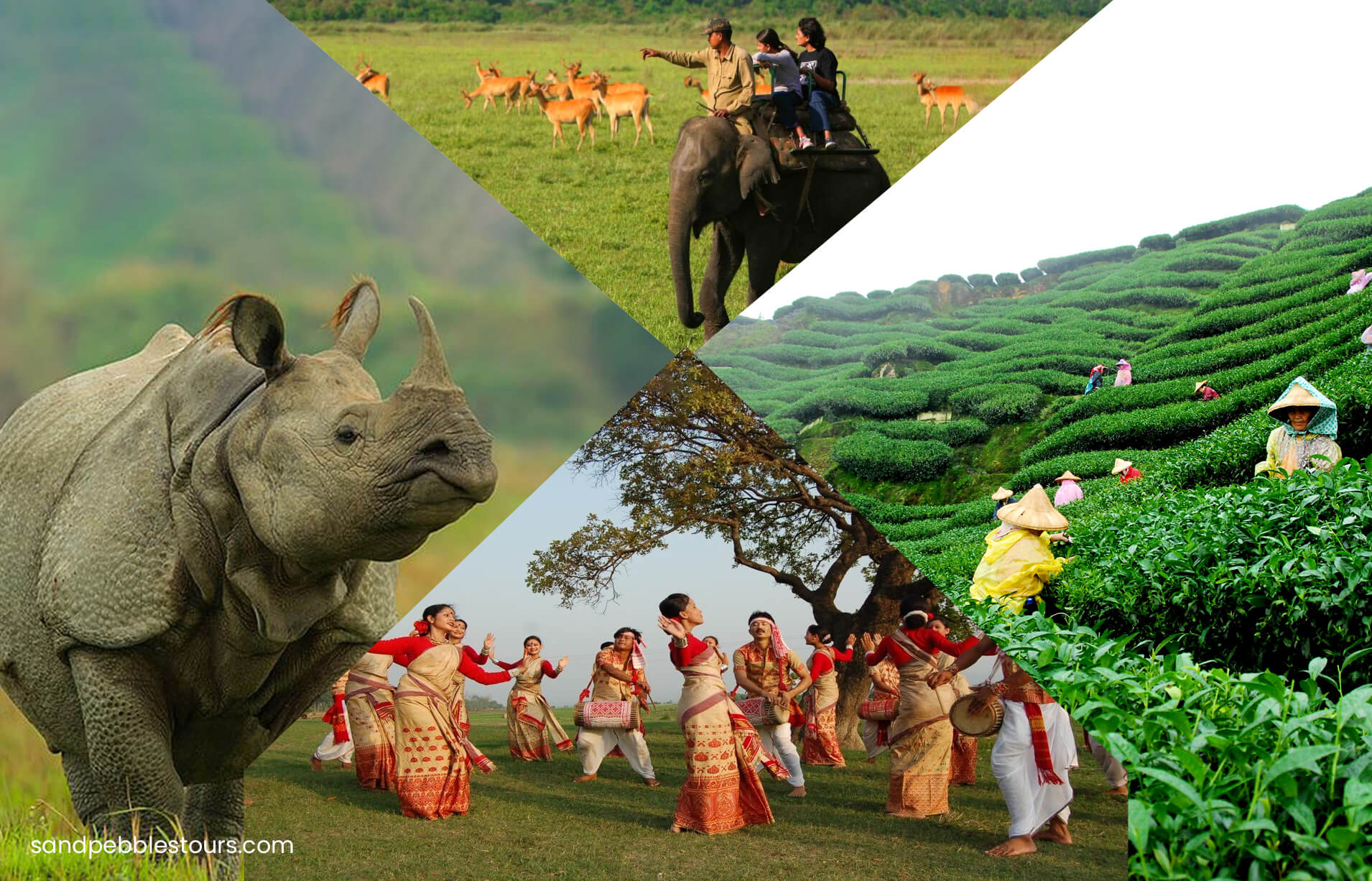 Magical Meghalaya Tour