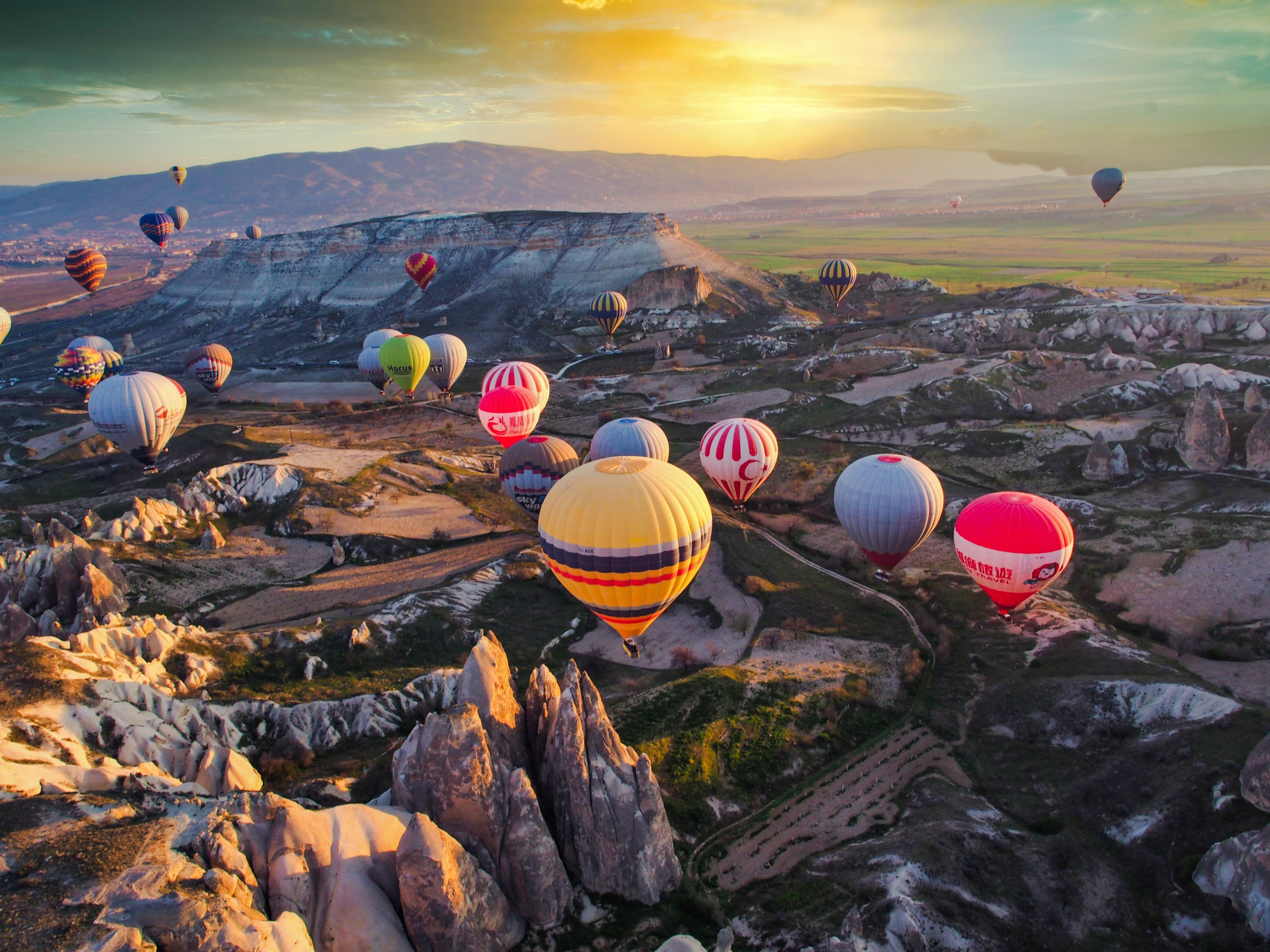 Delightful Turkey