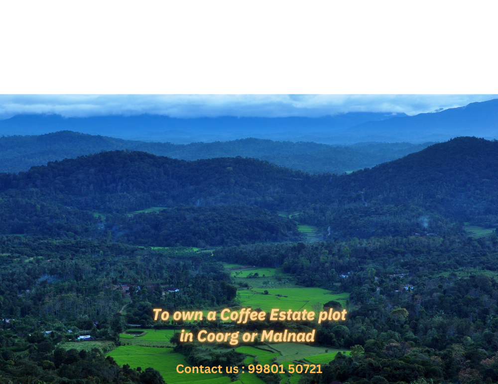 Are you looking to own a Coffee Estate Plot in Karnataka ? We have a ...