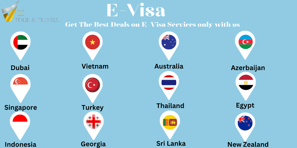 E VISA