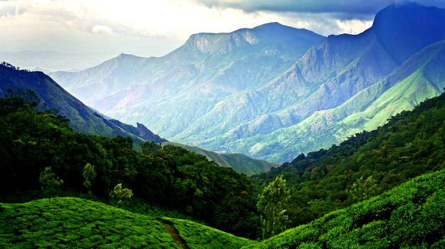 Embrace the Serenity of Munnar: A Tranquil Hill Station Retreat