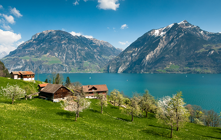 GERMANY-SWISS-ITALY 14 NIGHTS  15 DAYS PACKAGE