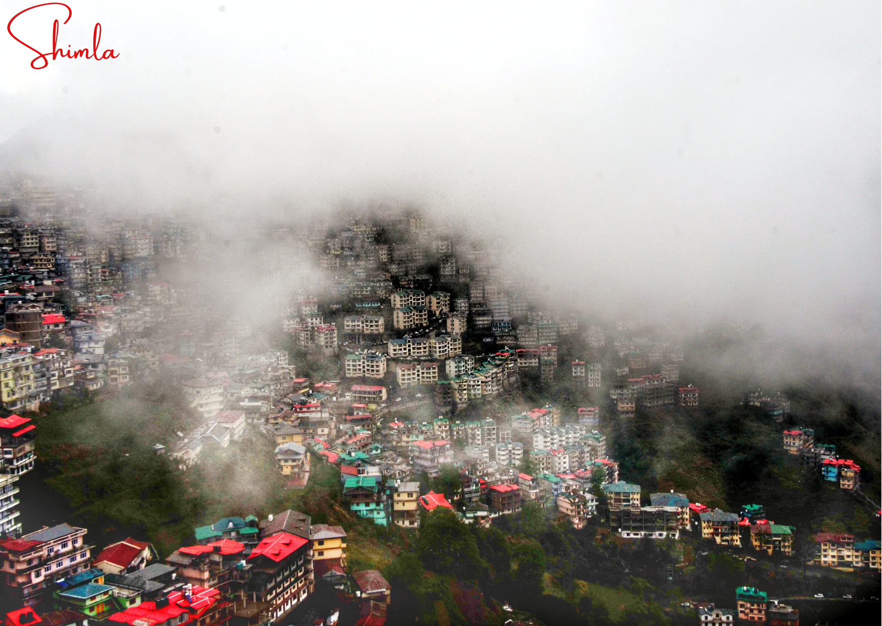 School -Collage Group tour -Simla Manali   Dharamsala