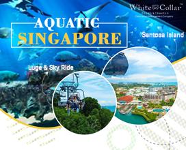 Aquatic Singapore