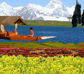 Beauty of Kashmir tour 4n5d