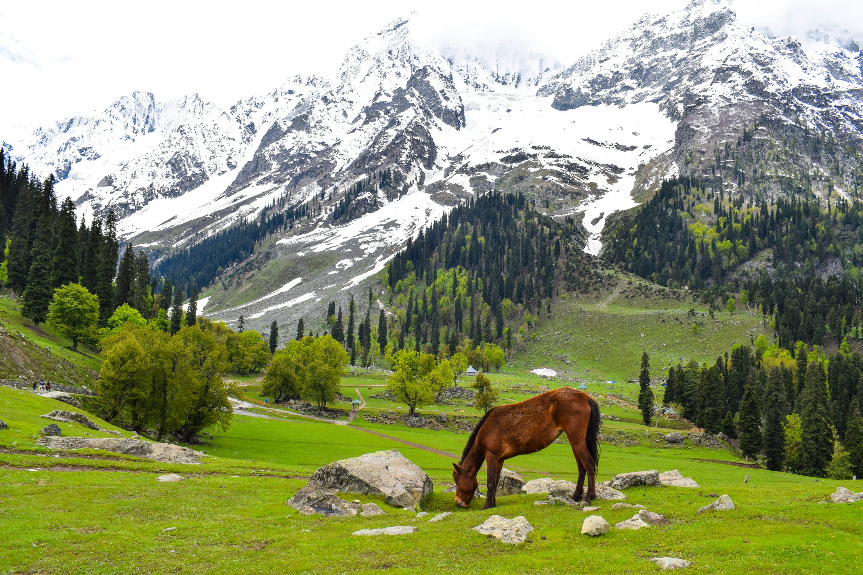 Kashmir Paradise Escape-Meadows Valleys and Lakes