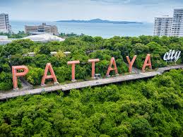 Pattaya Tour Package