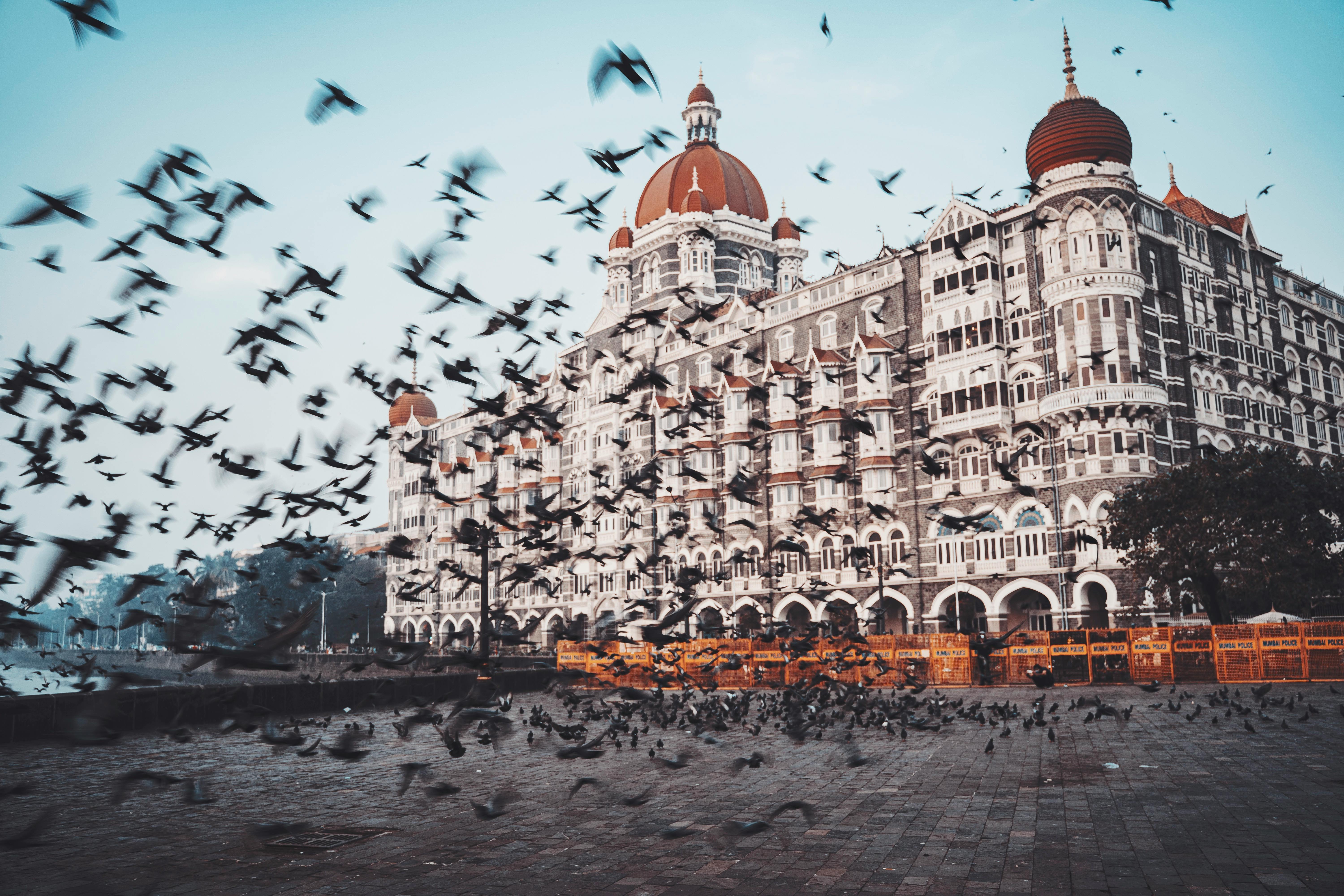 Hotel Taj Mahal Palace, Mumbai